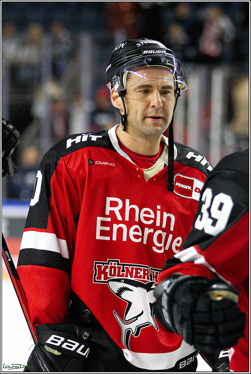 PENNY DEL;  Koelner Haie - Straubing Tigers; Koeln, 15.10.2021